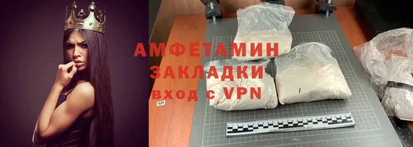 прущие грибы Абинск
