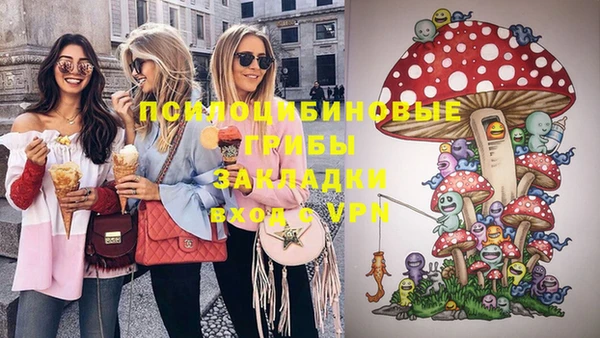 ешки Абаза