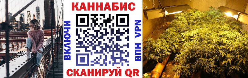 Бошки Шишки планчик  Гусиноозёрск 